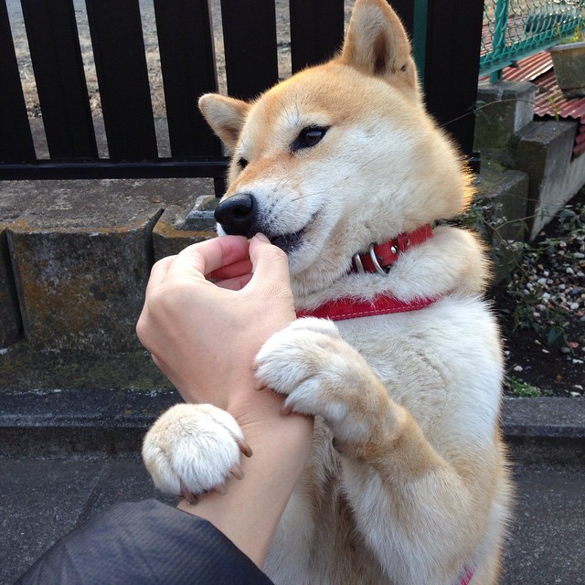 开云官网-谁说中卫不能当英雄？范戴克铁树开花定乾坤，贝蒂斯稳扎稳打碾过马里