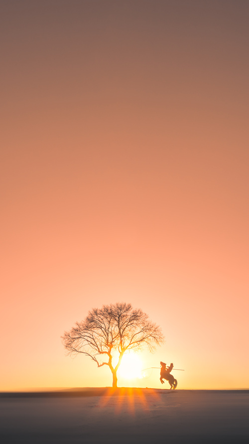 德罗赞攻防转换成核心，开拓者高效终结灰熊连胜势头